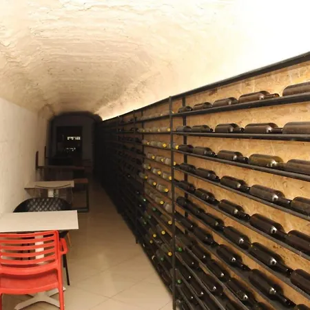 Pasha Hostel